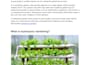 write SEO friendly gardening articles, and plant care blog posts
